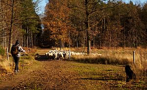 Sprachkurs Niederländisch Aufenthalt